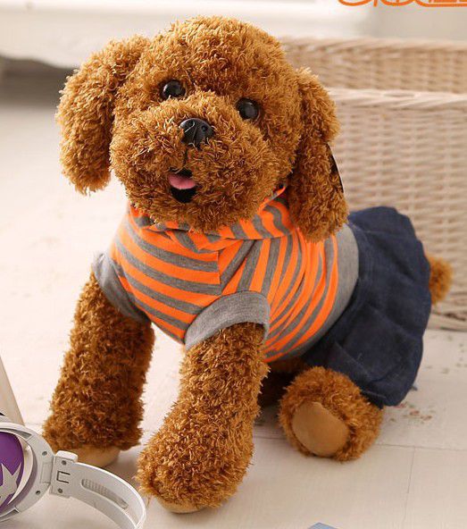 宠物恶性占位是指什么原因?揭开背后的真相